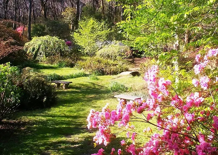 Charming Mountain Escape - Katoomba